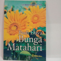 Budi Daya BUNGA MATAHARI=
