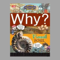 Why ? : Fossil (Fosil)